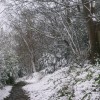 Page link: SNOW SCENES - Spring 2008  !!!