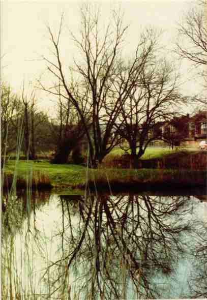 Photo:Valley Ponds 1985