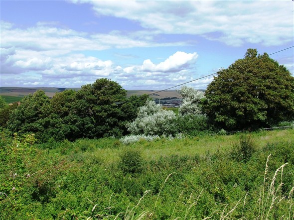 Photo:The view from The Fairway looking towards where we will be able to see the incinerator if it is built.