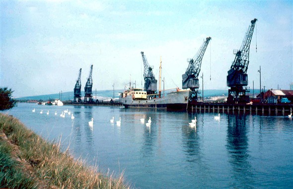 Photo:North Quay with elderley coaster and fleet of swans from 1960's