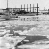 Page link: THE YEAR THE HARBOUR FROZE