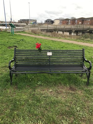 Photo: Illustrative image for the 'MEMORIAL BENCH POPPIES' page