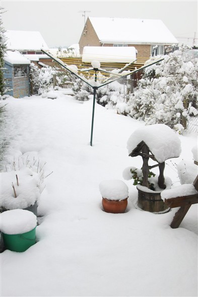 Photo: Illustrative image for the 'DECEMBER SNOWS - 2/12/2010' page