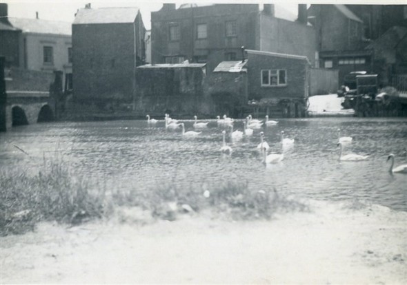 Photo:Rear view of Mrs Warnes home & shop [centre, rear] with Denton Island bridge to left. Taken circa 1960
