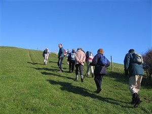 Photo: Illustrative image for the 'NEWHAVEN RAMBLERS' page