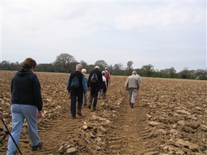 Photo: Illustrative image for the 'NEWHAVEN RAMBLERS' page